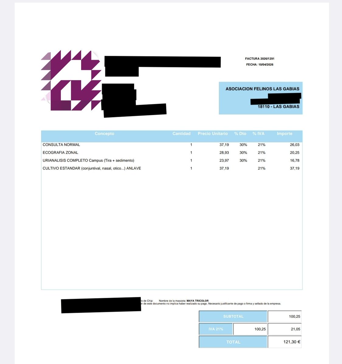 Felinos Las Gabias tweet media