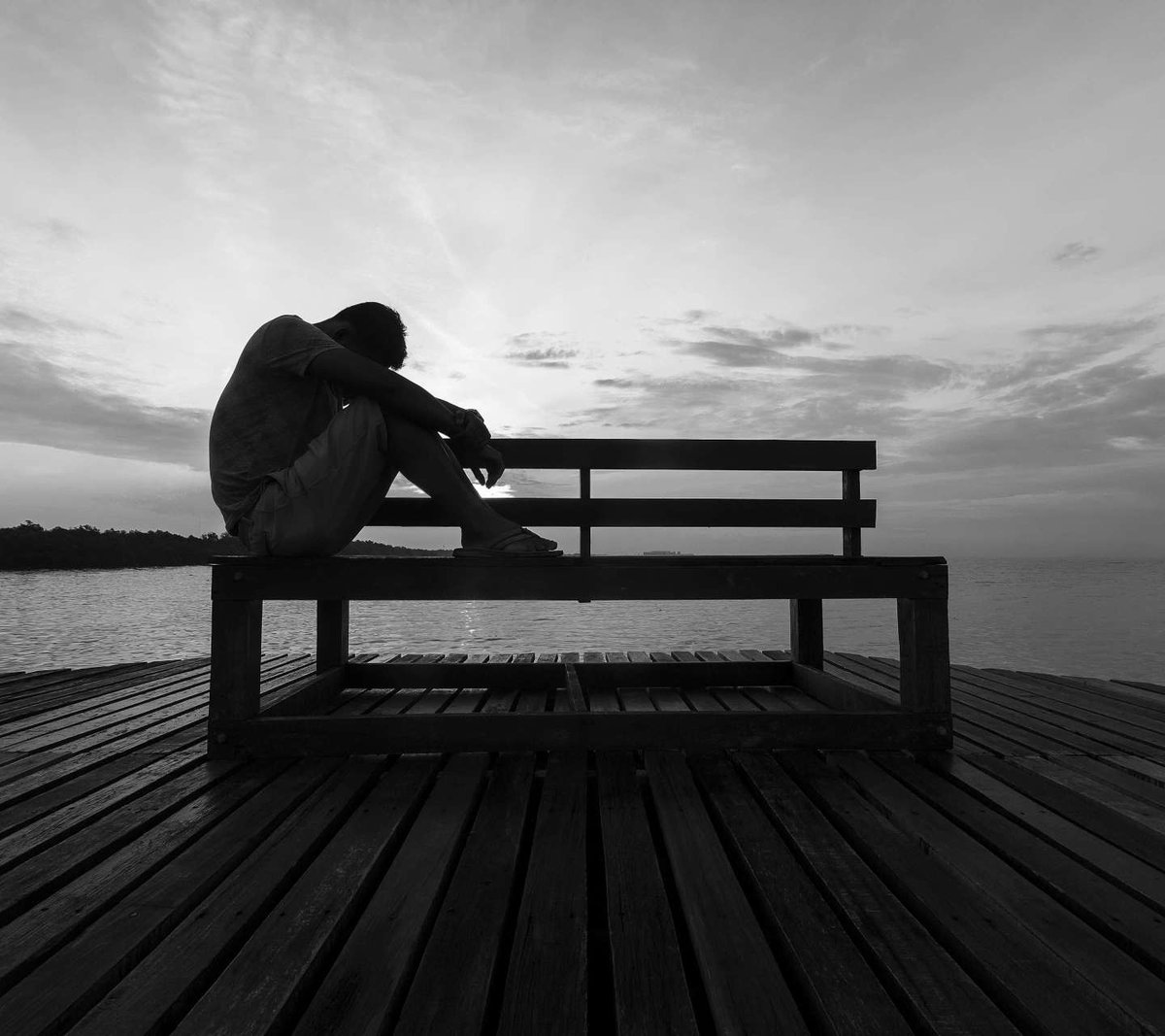 Dante Wang tweet media