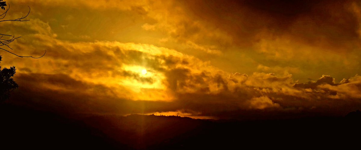 Norma Ortiz Rodriguez tweet media