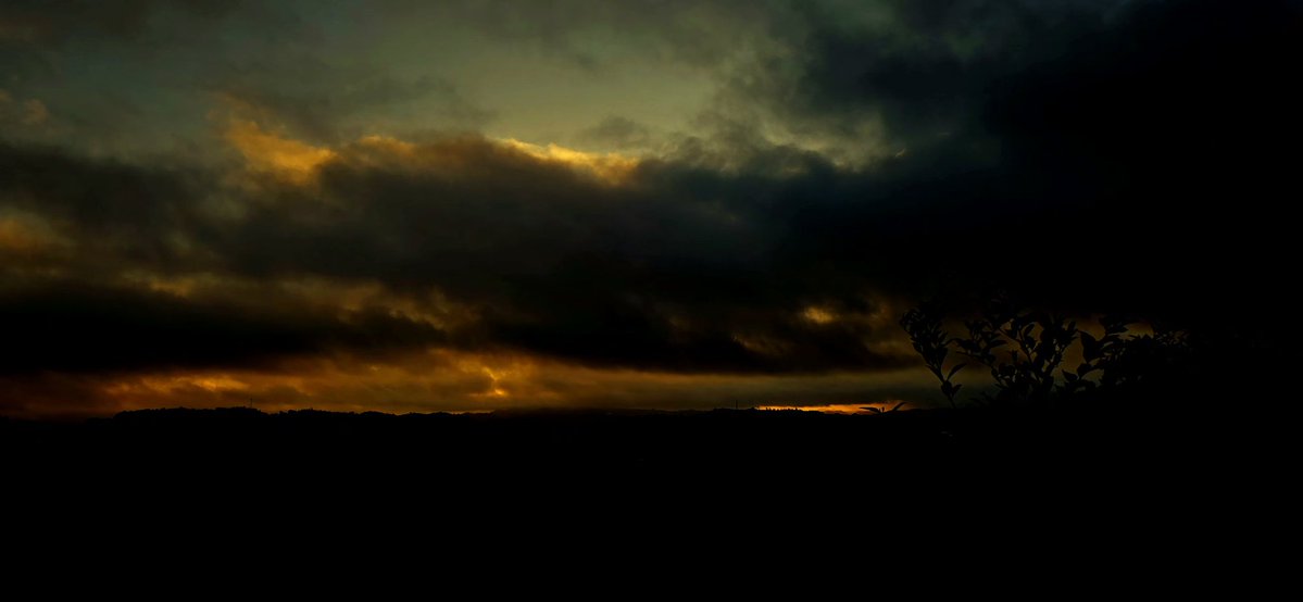 Norma Ortiz Rodriguez tweet media