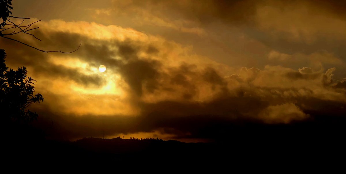 Norma Ortiz Rodriguez tweet media