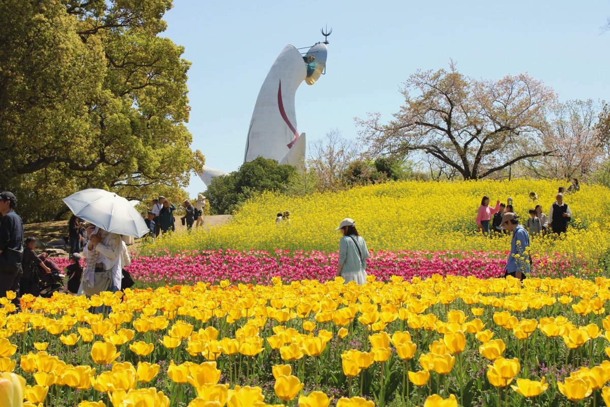 handaiphoto's tweet photo. 【新歓撮影会@万博記念公園】
本日4/11は万博記念公園にて第1回新歓撮影会を行いました📷
快晴の青空にお花が映える、とってもよい日でした🌸 https://t.co/ptdCP3su2A