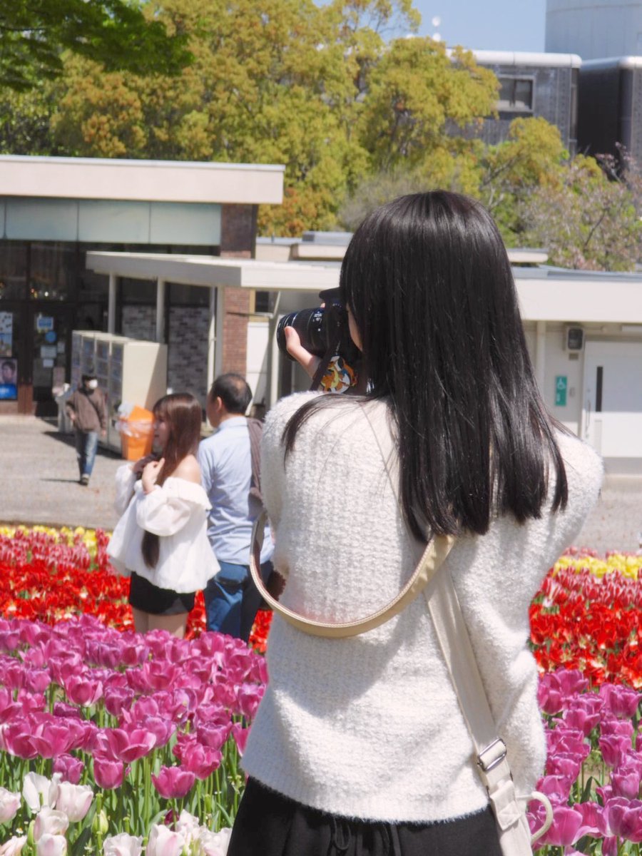 handaiphoto's tweet photo. 【新歓撮影会@万博記念公園】
本日4/11は万博記念公園にて第1回新歓撮影会を行いました📷
快晴の青空にお花が映える、とってもよい日でした🌸 https://t.co/ptdCP3su2A