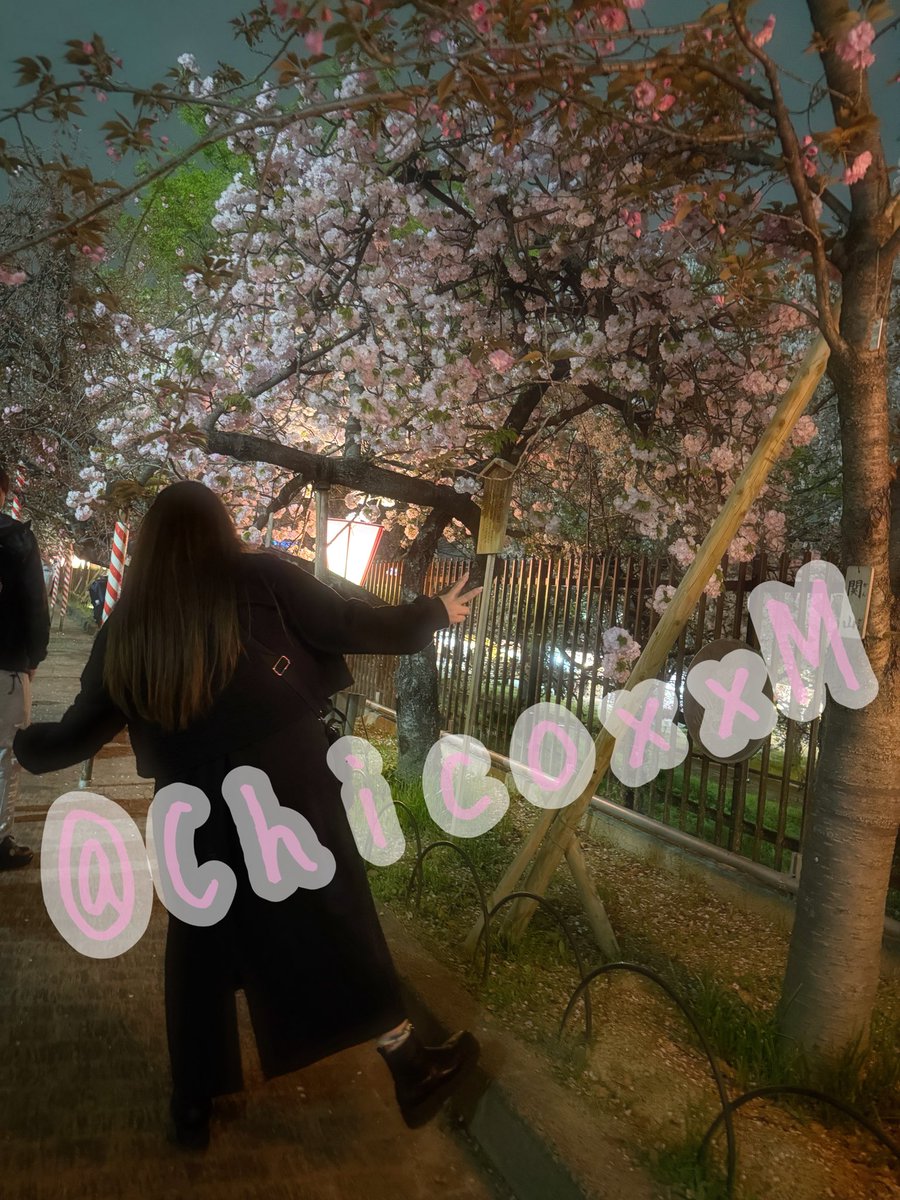 𝒎 ♥︎︎∗︎*ﾟ tweet media