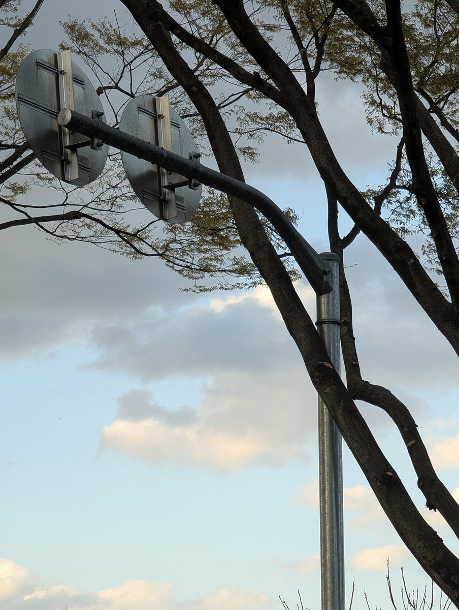 篠沢教授に全部 tweet media