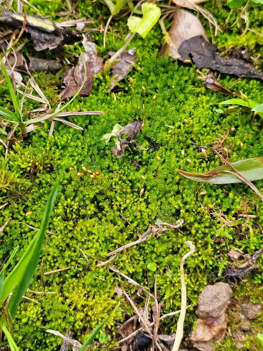 BBuilingBuiling tweet media