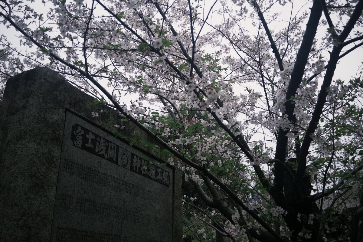 紗未 tweet media