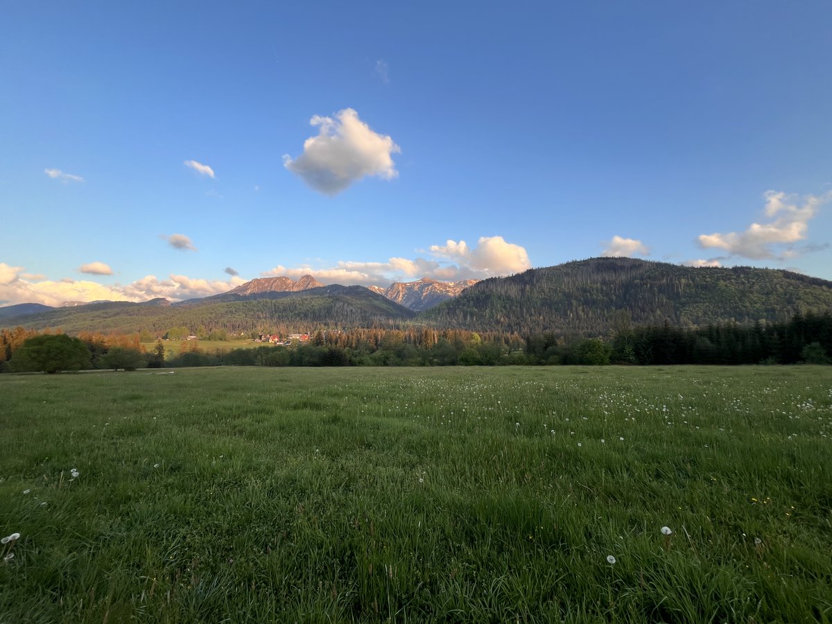 FreiheitsMaximalist tweet media