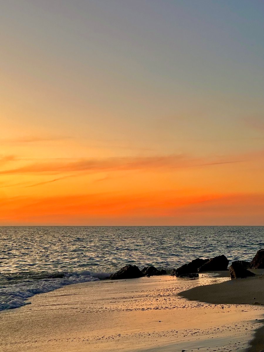 DeepGreens2's tweet image. Happy Saturday! #BeachLife