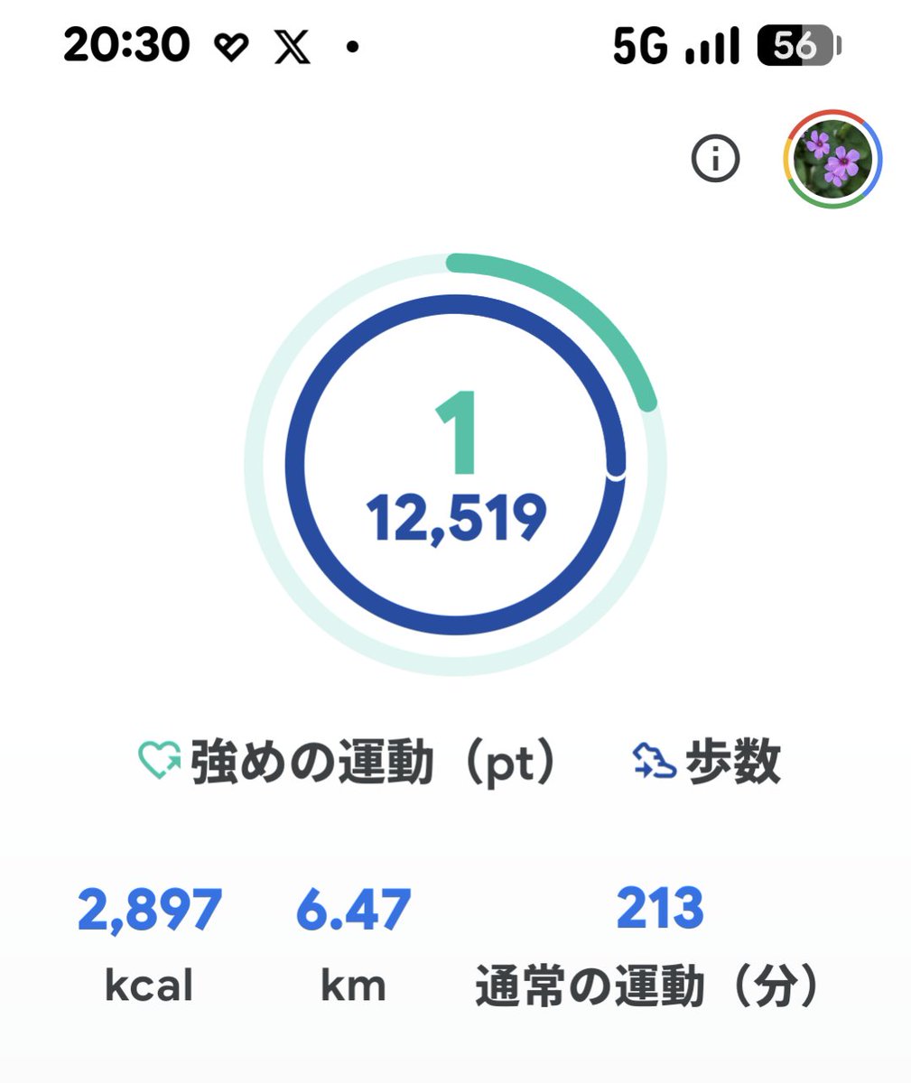 _____23_____k's tweet photo. 仕事終わり、足腰が痛い。
理想は1万歩行かないくらい。
1万歩超えると足が痛くなる。
明日も頑張ろう！ https://t.co/oWjOP8O83K