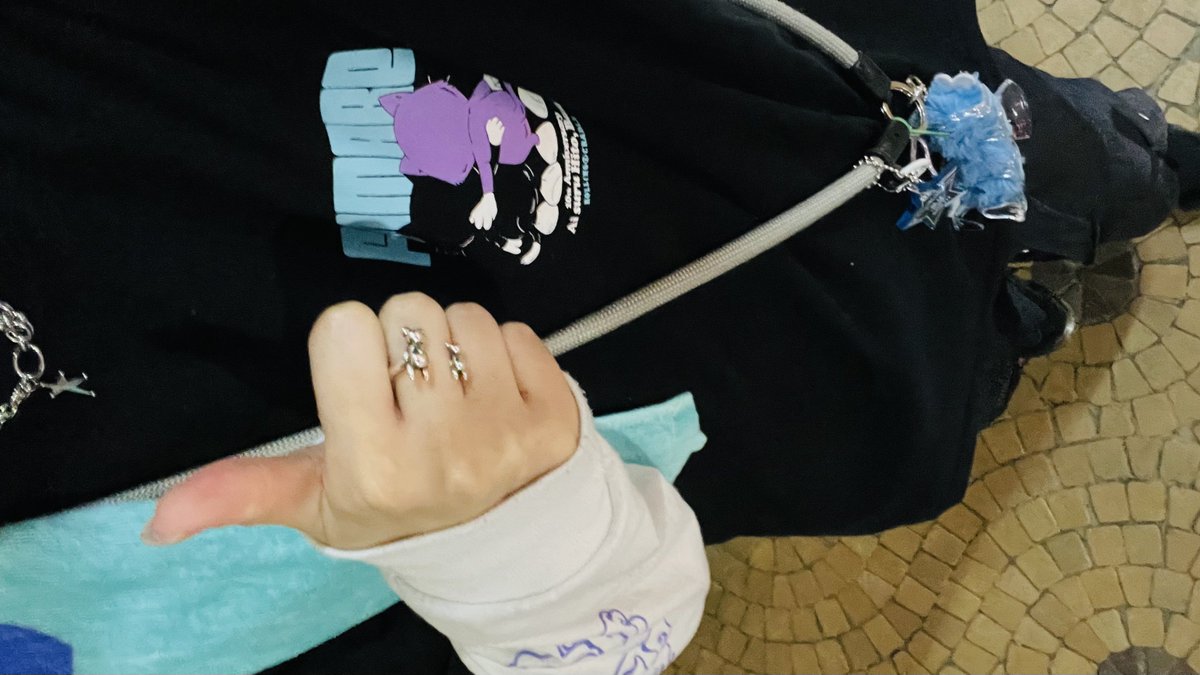 すみれ➹ tweet media