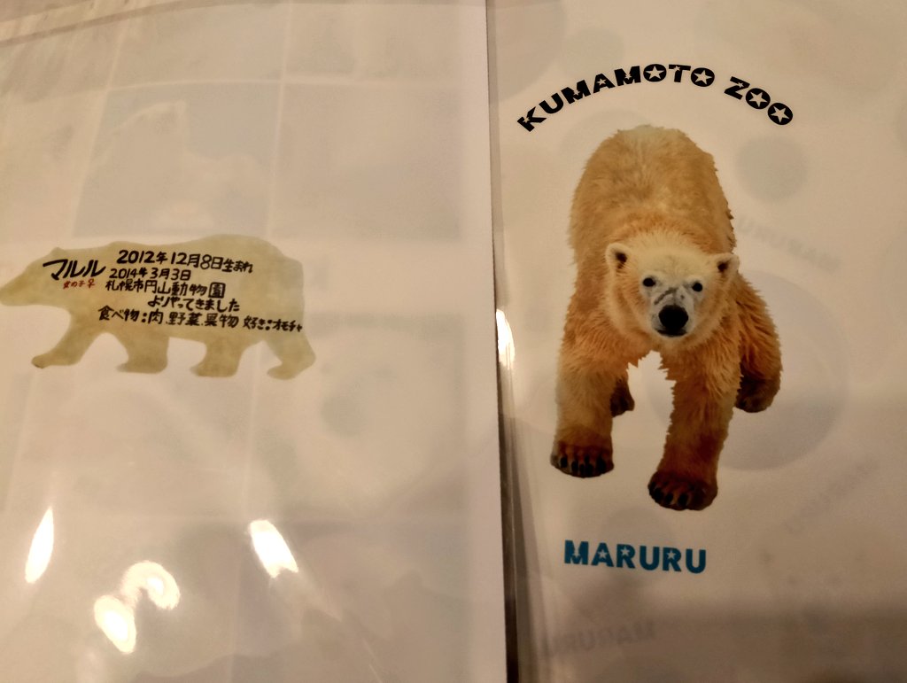 パンダバ tweet media