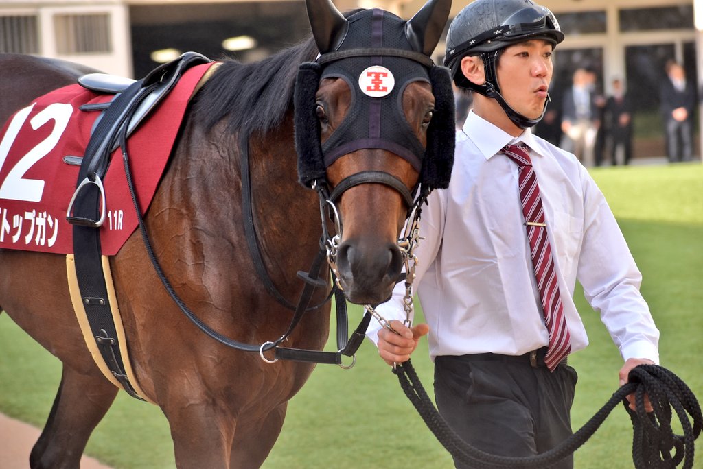 けーさん☆聖奈！ tweet media