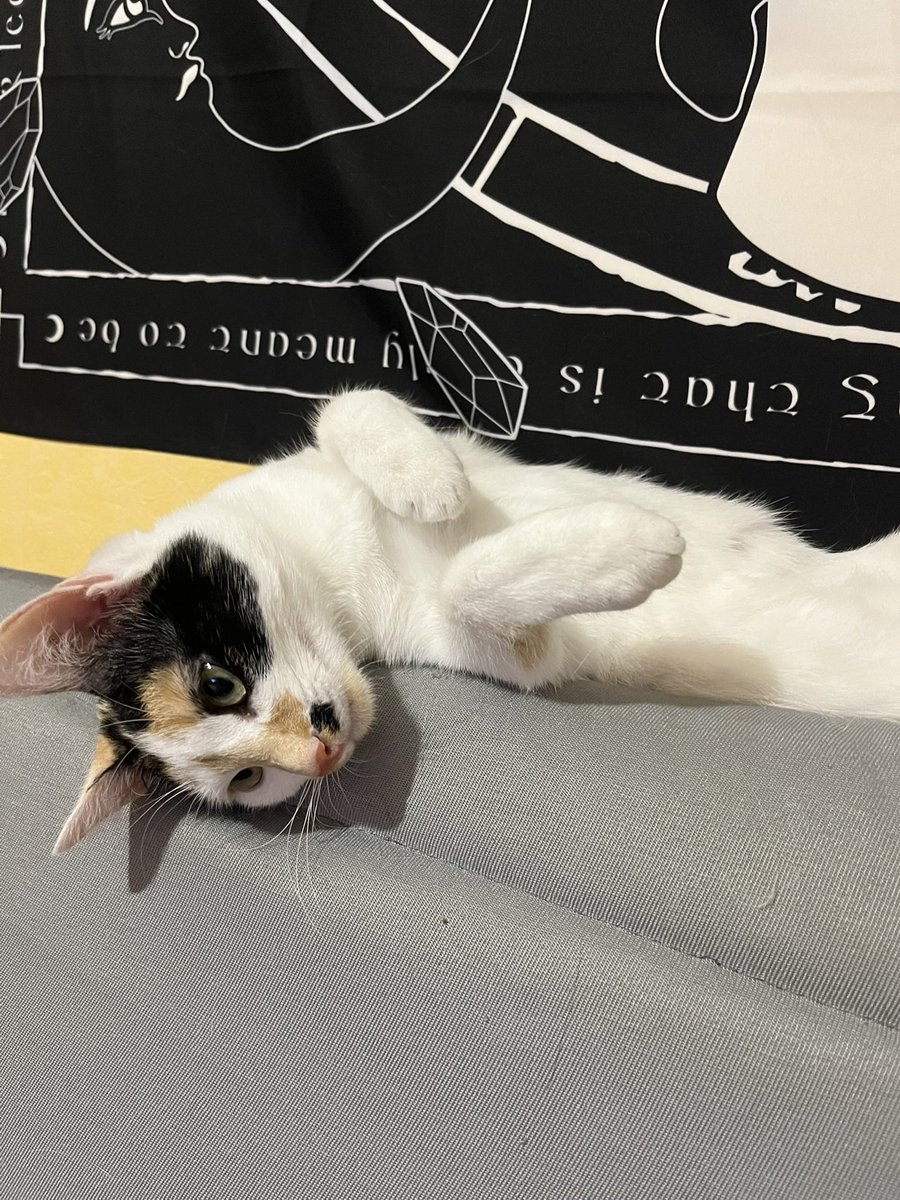 jeanne bg tweet media