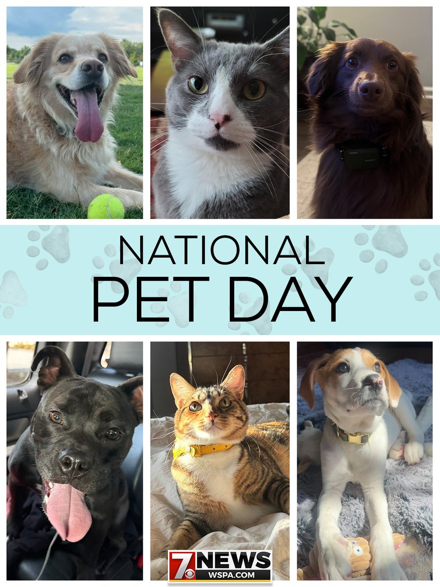 WSPA7's tweet image. Show off your pet! #WSPA #Pet #Pets
