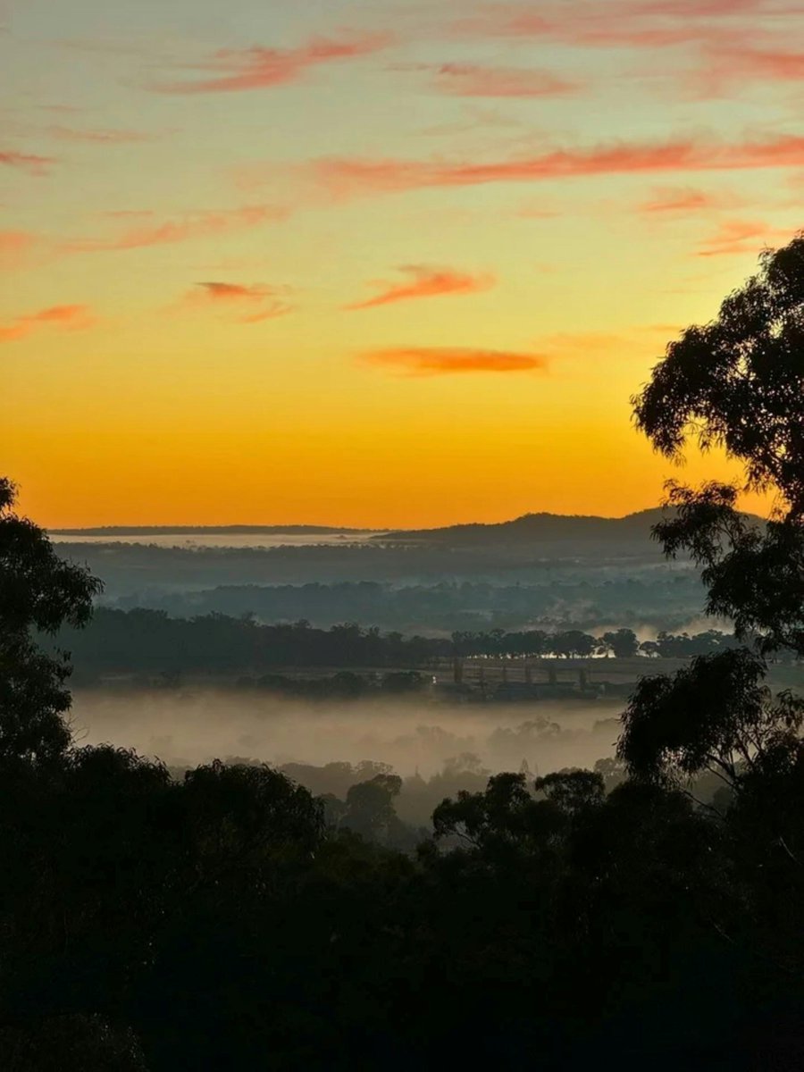 jmadmart's tweet image. sunrise
in the valley 

a blanket
for my dreams 

slowly lifts
the veil
of slumber 

so we can 
forge our
path 

able
to be seen 

#GoodMorning #GoodMorningX #sunrise #sunset #poetry #beauty #photography #nature #art 
📸Dianne J. Larsen