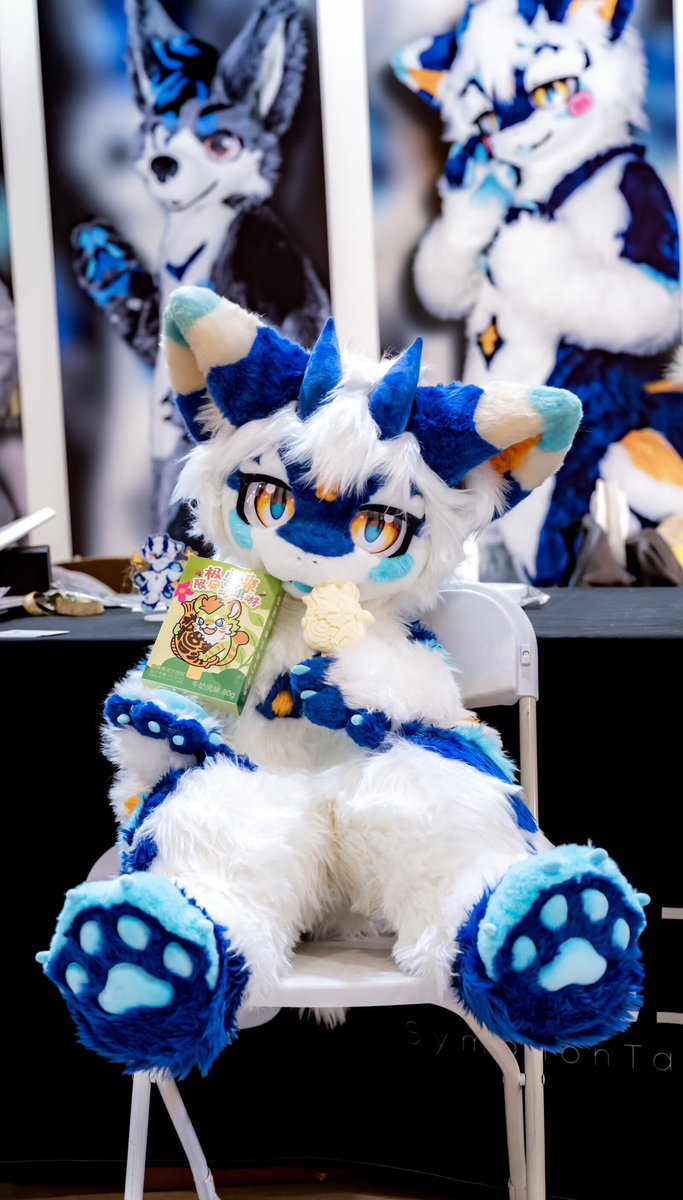 悠白哆乐比 tweet media