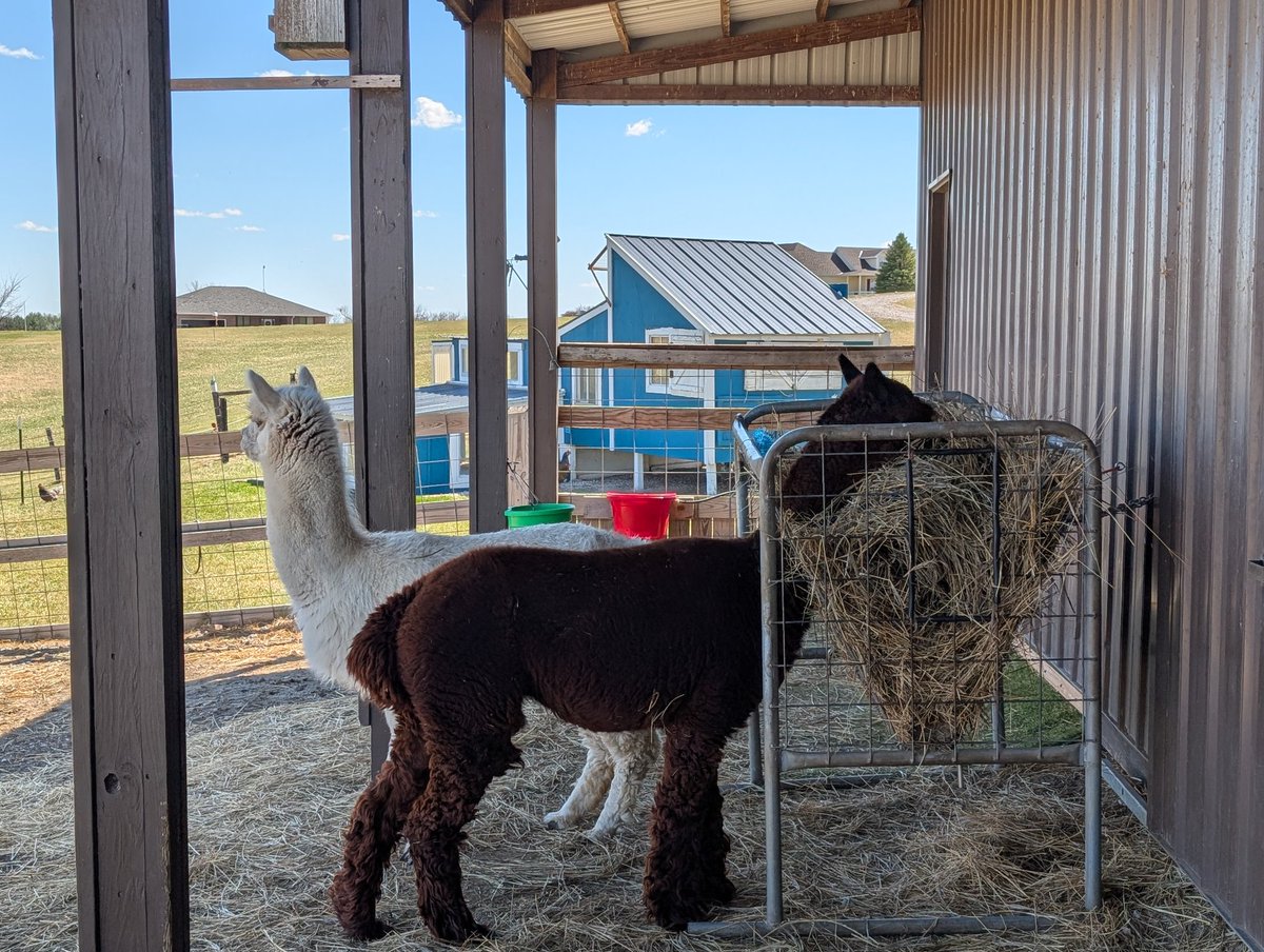 Chris Bohn tweet media