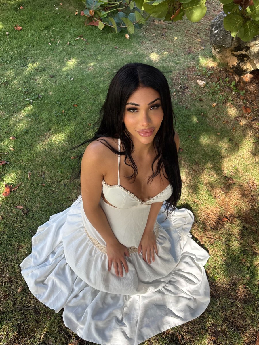 Pixiee TS 🏳️‍⚧️ tweet media