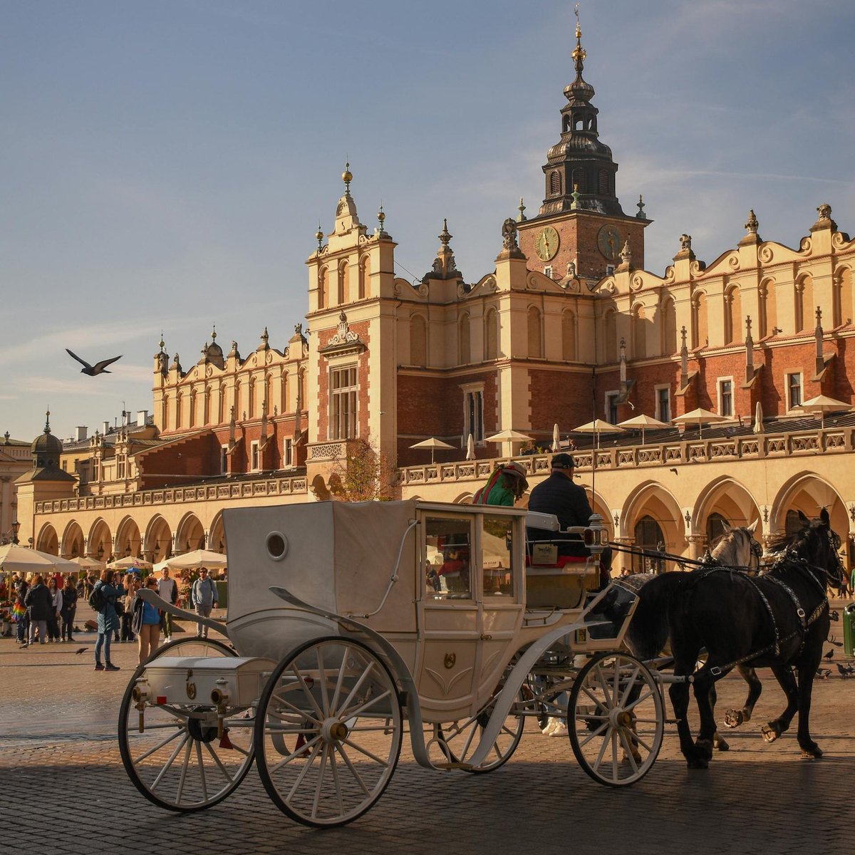 FreiheitsMaximalist tweet media