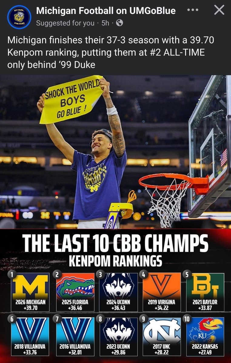 Gringo Leo tweet media