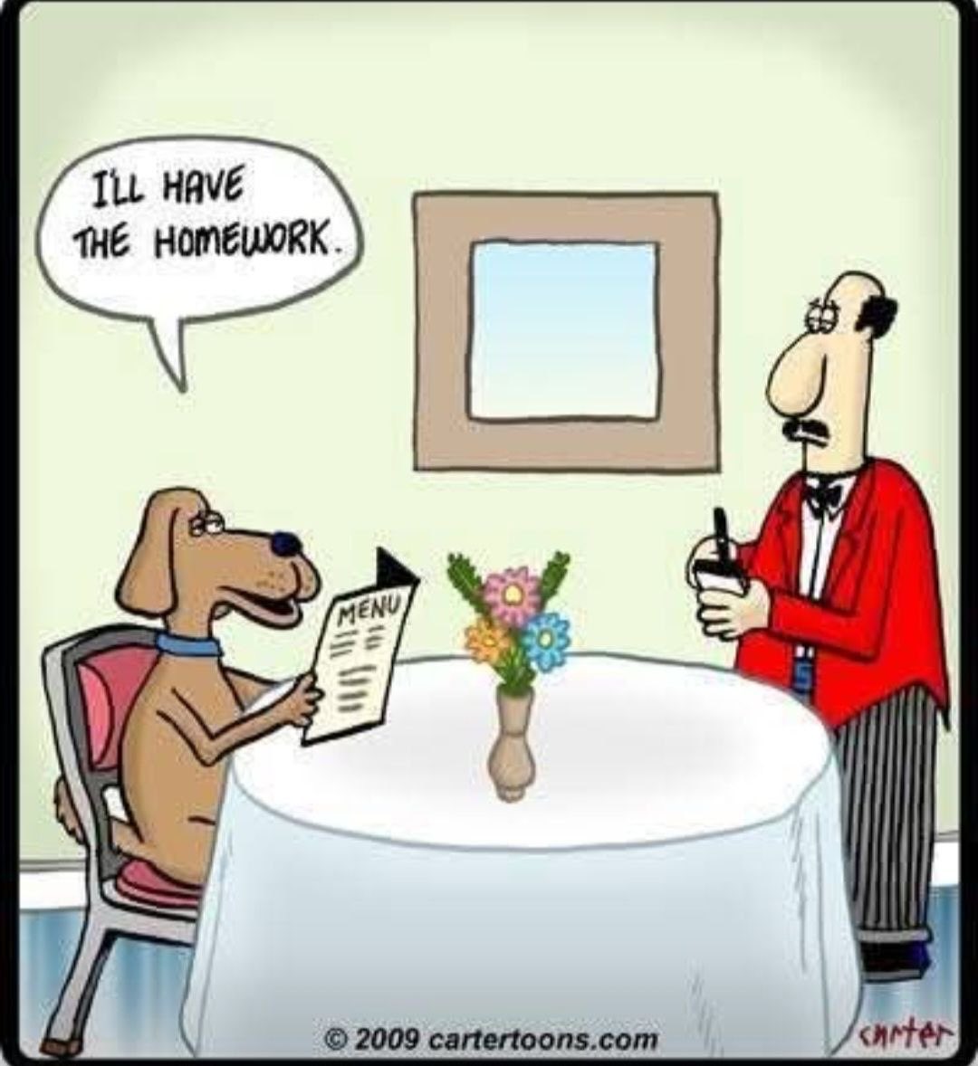 Imagine RainbowZebra tweet media