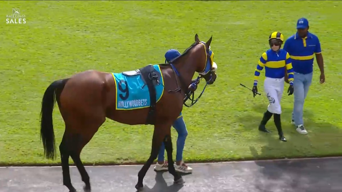 rebelsart's tweet image. 🇫🇷 Mickaëlle Michel🇯🇵@MickaelleMichel and Line In The Sky in race 3 on Race Coast Sales Big Cap Day Saturday at Greyville, South Africa‼️🏇🇿🇦
Trainer Mano Pandaram
💥Have a successful day!💥
#NeverGiveUp #WorkHard #MickaelleMichel
M.ミシェル #ミカエルミシェル
💪👊🌪️🥰