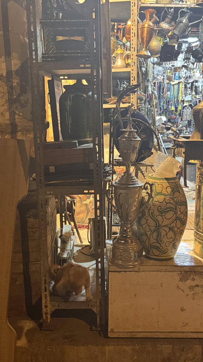 qabas_ll's tweet photo. صفقة 3  كتب جديدة بسعر غريب الاطوار كدما رخيص 
🫪 https://t.co/Iu9OpVFSVD
