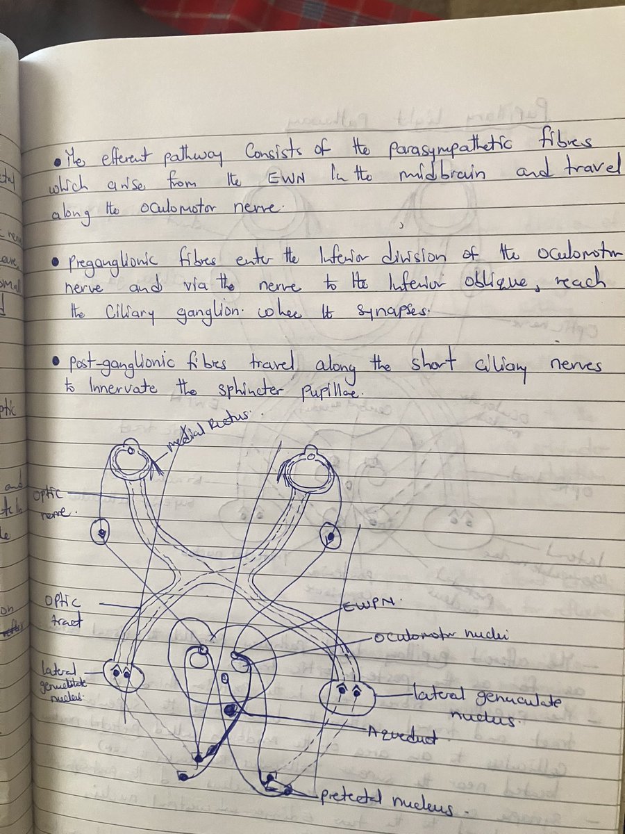 Gladys Atto tweet media