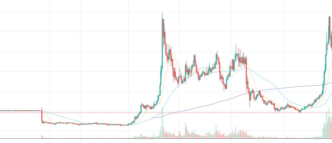 Pat McPat tweet media