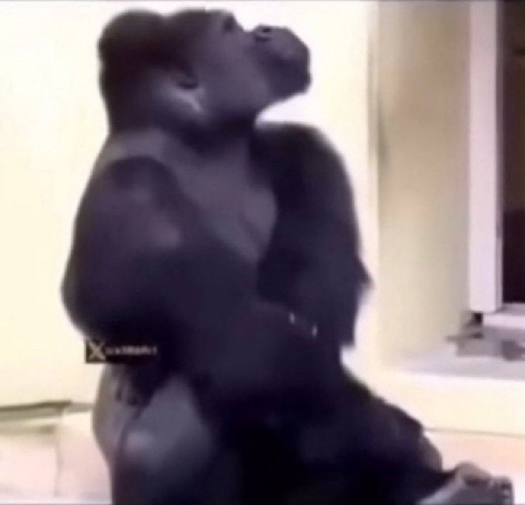 العسّاس tweet media