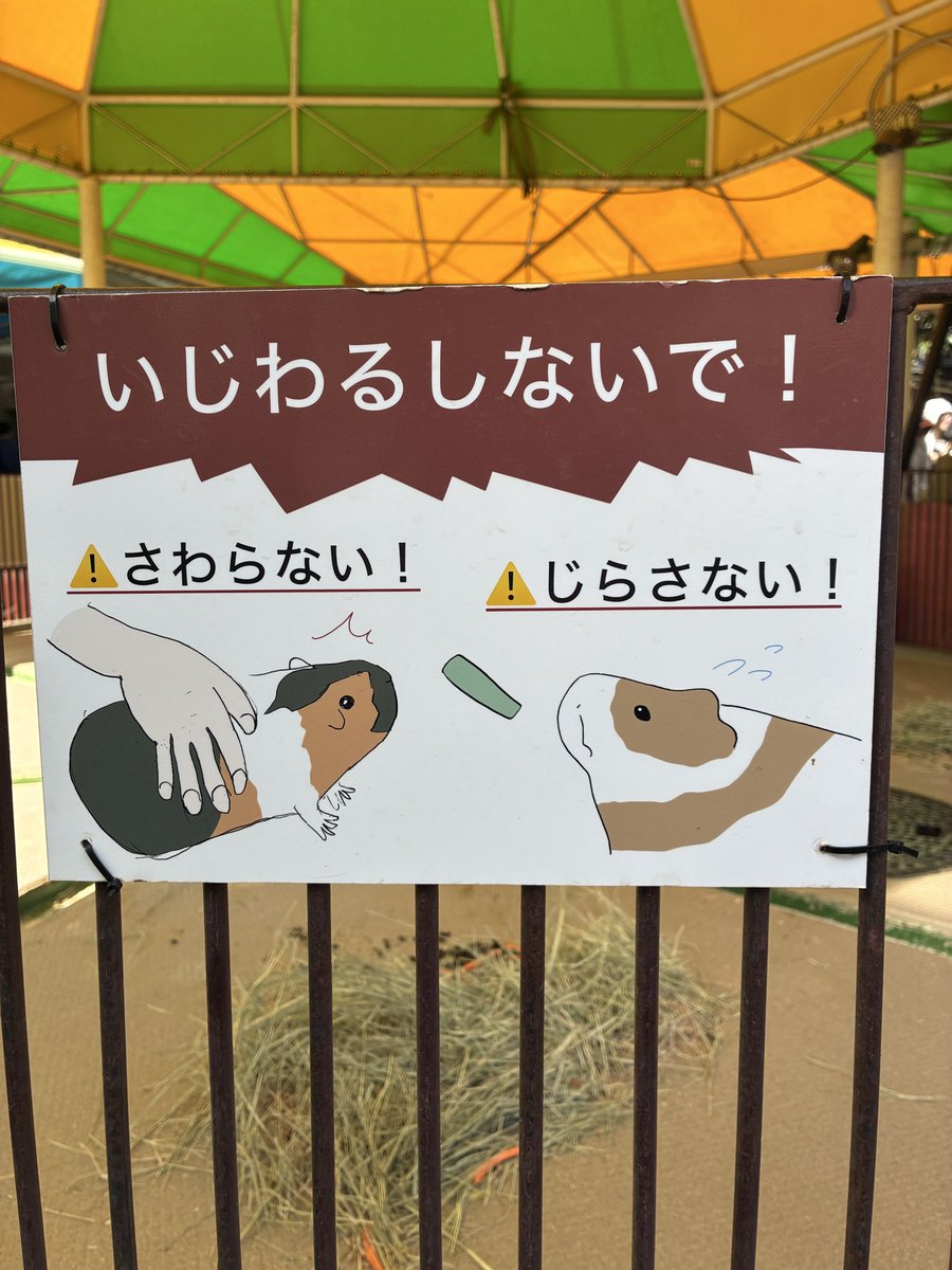 ヘイラッシャイ！ tweet media