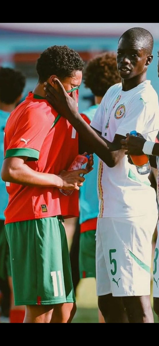 Djily Bagdad tweet media