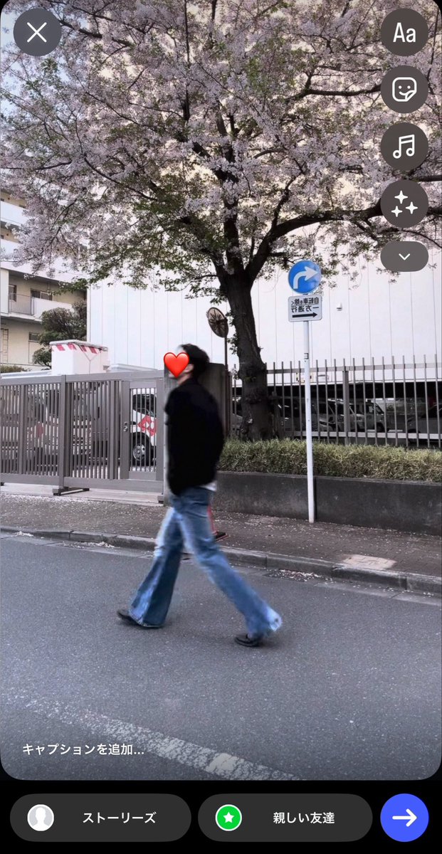 ナ⋆ ᨩ ⊹₊˚. tweet media