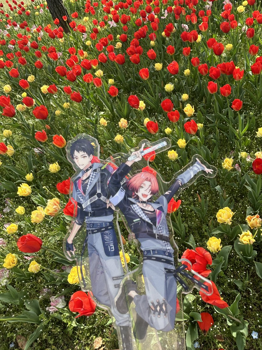 あらた tweet media