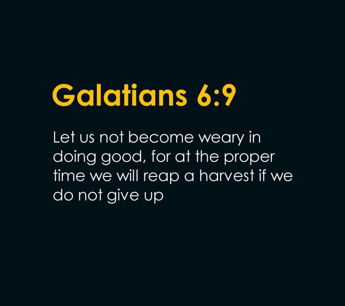 The Soul tweet media