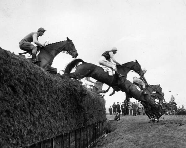 🐦Pigeon🐎Island🐦 tweet media