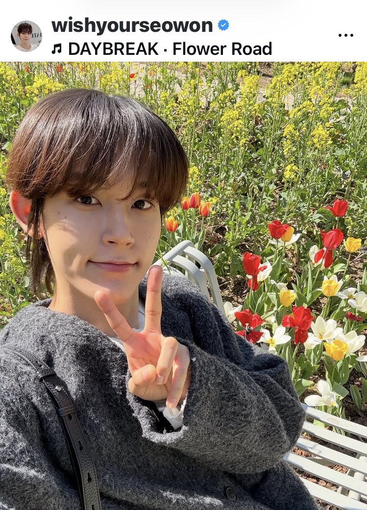 _ttt135's tweet photo. 桜は散っても大丈夫🍀
Flower Roadは続いてるよ
ハナダンと 一緒に歩いていこう
#서원 #Seowon
#FlowerRoad
#癒し #위로 https://t.co/m3QgTaKkou