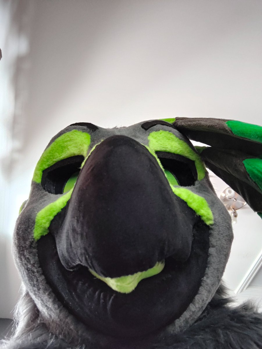 Some goo bird tweet media