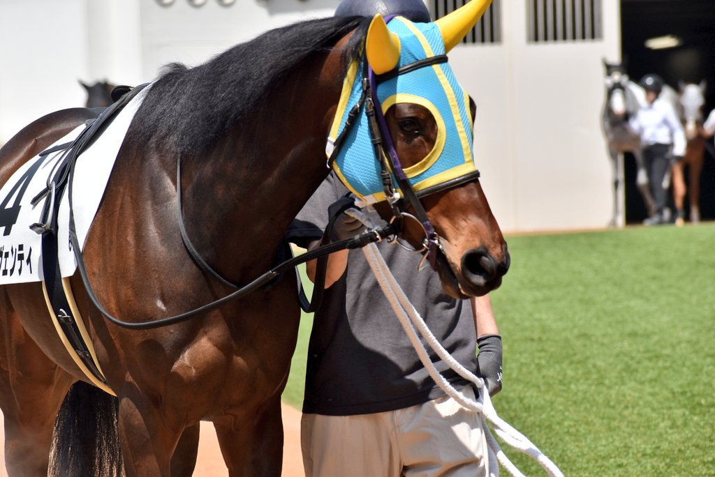 けーさん☆聖奈！ tweet media