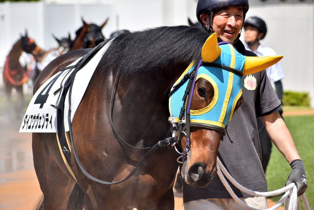 けーさん☆聖奈！ tweet media