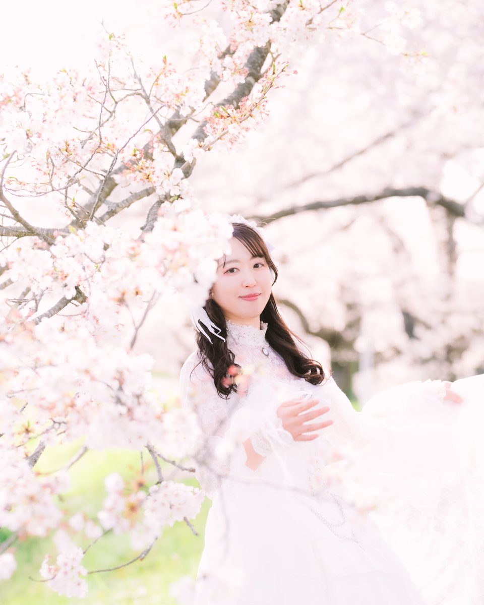 camera_navi's tweet photo. ＃船岡桜まつり の撮影会に行ってきました！ 
去年に引き続き2回目の場所なので、同じ場所で撮るか違う場所で撮影するか迷った🤣 

モデル：杏ちゃん（@anchan_shooting）
 撮影会：#ShootingSendai (@shooting_sendai)
 撮影場所：#船岡駅 周辺

 #八海杏奈 #けんポトレフォト ＃杏ちゃん https://t.co/BBa2zKEvbh