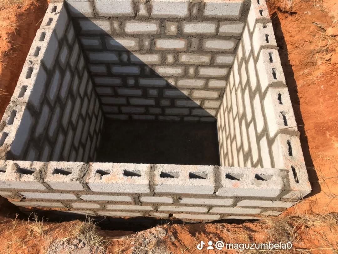 Theprolificthobby tweet media