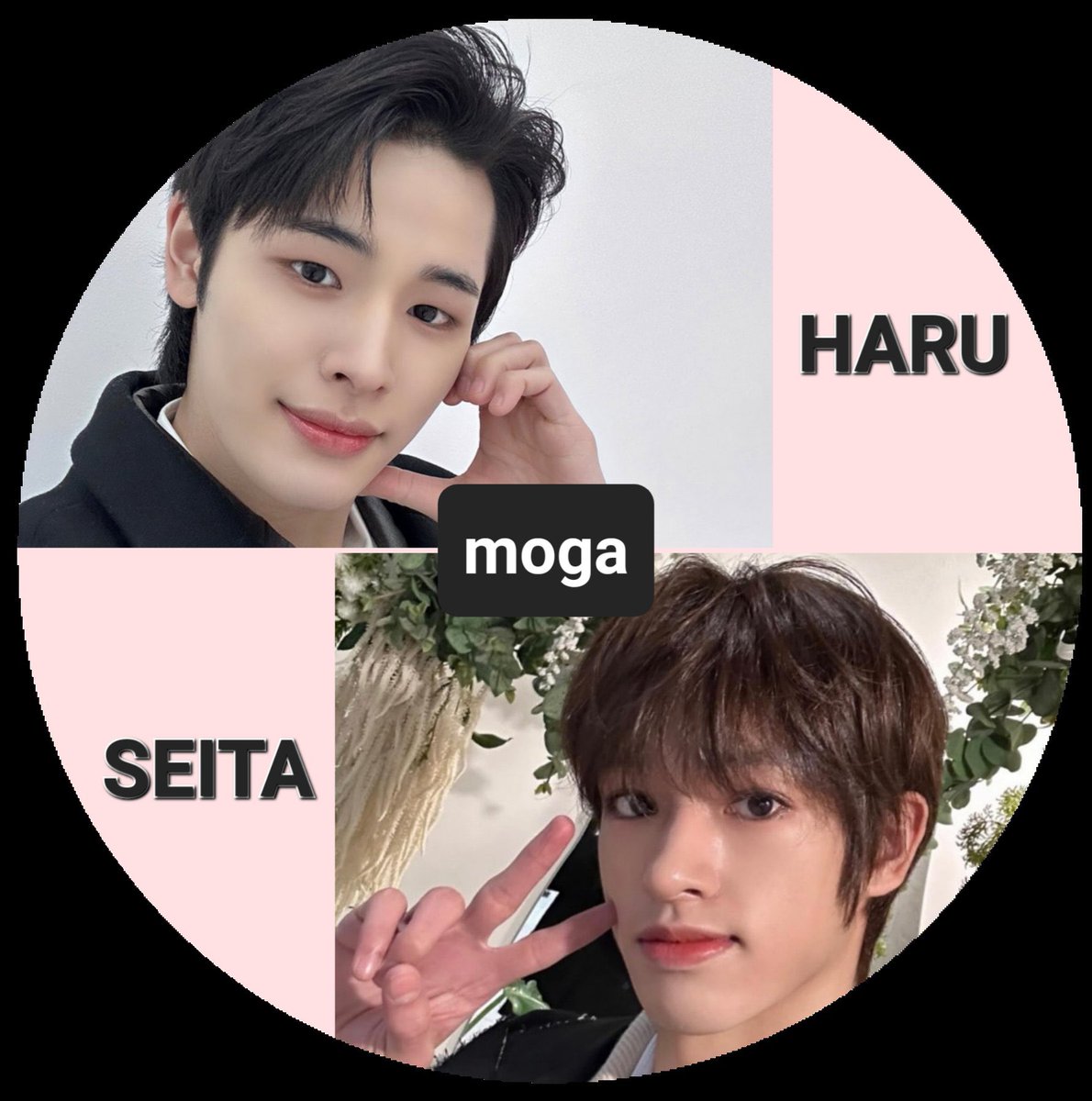 moga🦌🐻‍❄️ tweet media