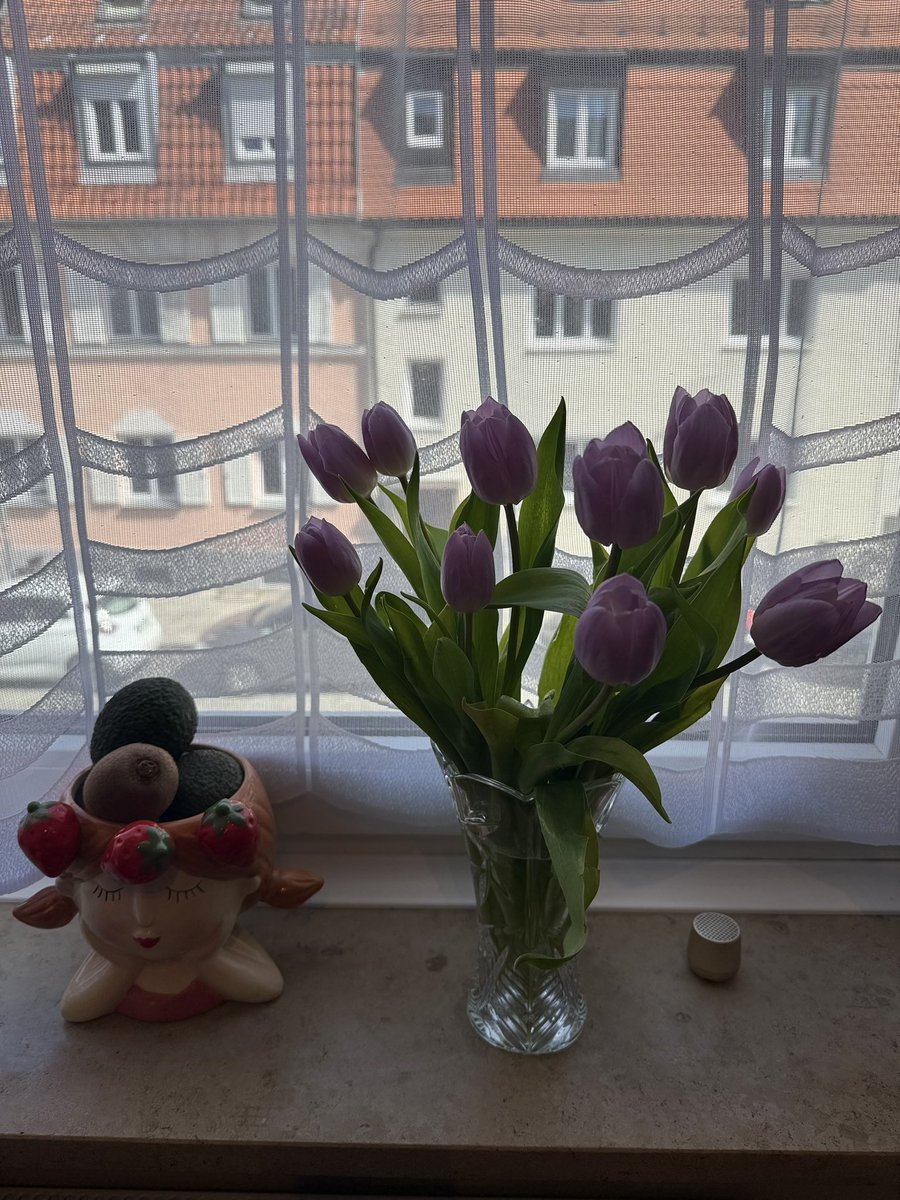 🦋 P. A. 🏹 from 🇩🇪🇪🇺 tweet media