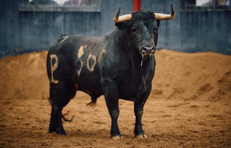 Mar Muñoz 🇪🇸 tweet media