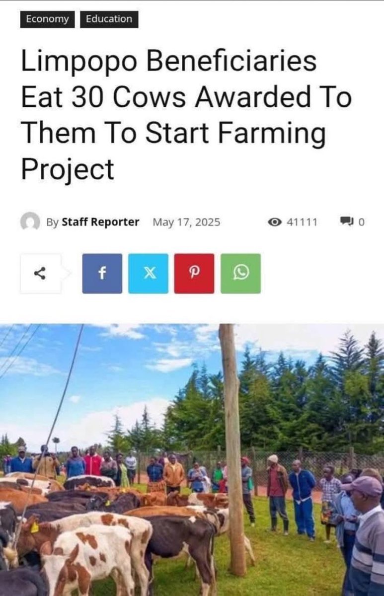 Will Tanner tweet media