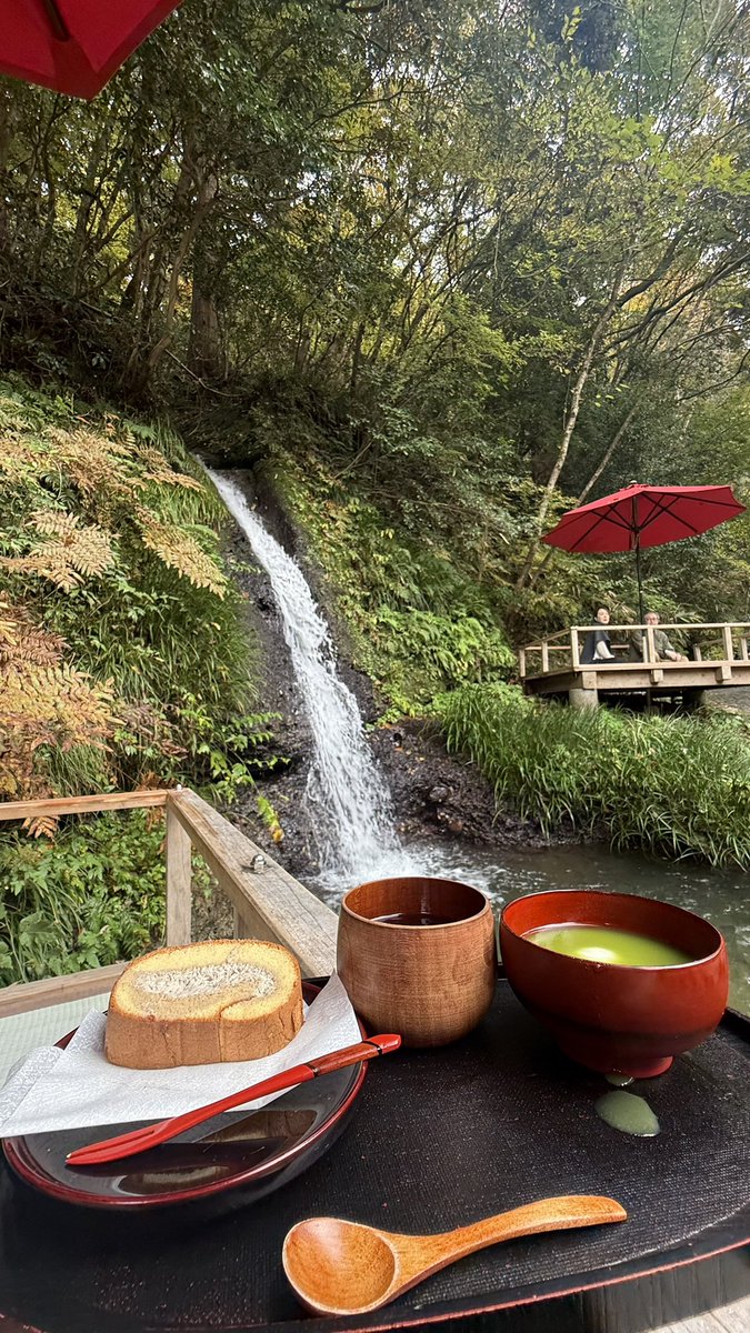 ここあちゃん@日本一周完(折り返し中) tweet media