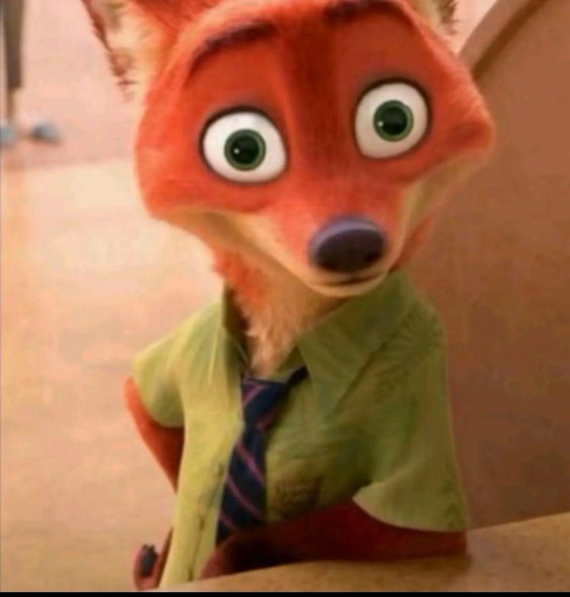 تطبيق نينجا🥷🏻 tweet media