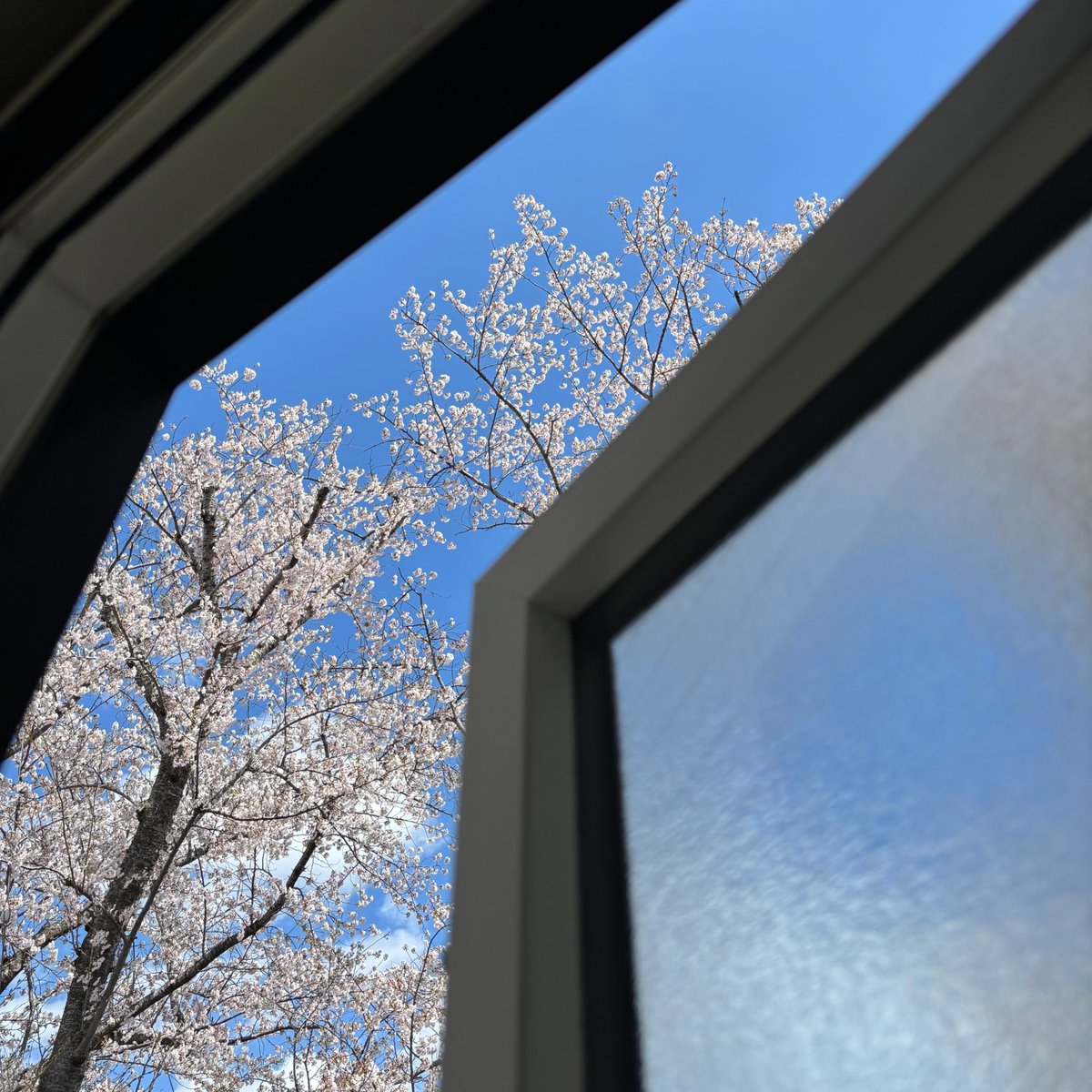 ゆきのん｜多言語勉強中 tweet media